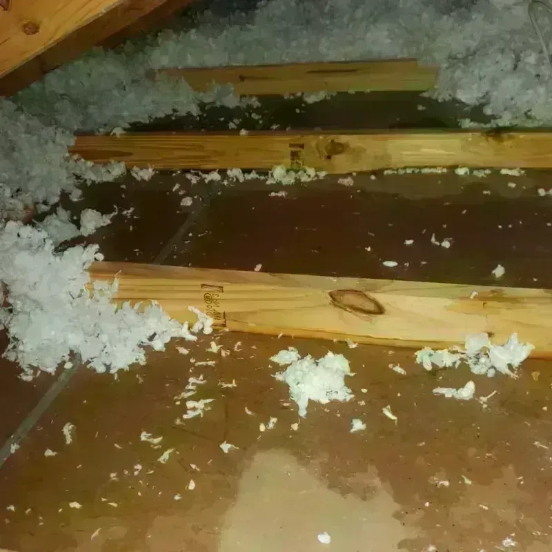 Attic Water Damage in Ada, OH