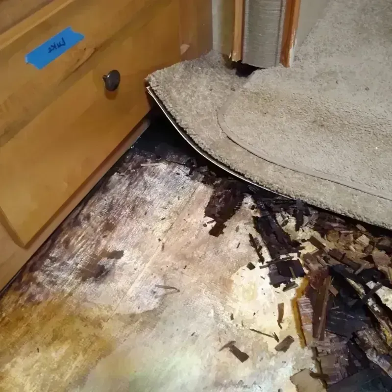 Best Wood Floor Water Damage Service in Ada, OH